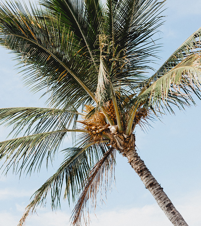 This website is a mood board; a place for travel ideas and inspiration to take hold. You can browse the old-fashioned way with our A – Z of destinations, whereas our Trip Finder tool is for those who favour the unknown.