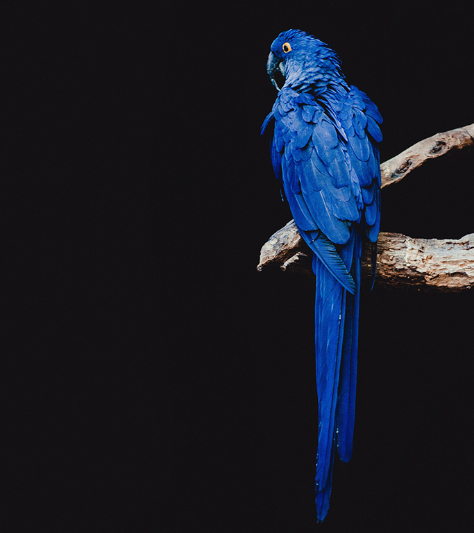 This website is a mood board; a place for travel ideas and inspiration to take hold. You can browse the old-fashioned way with our A – Z of destinations, whereas our Trip Finder tool is for those who favour the unknown.