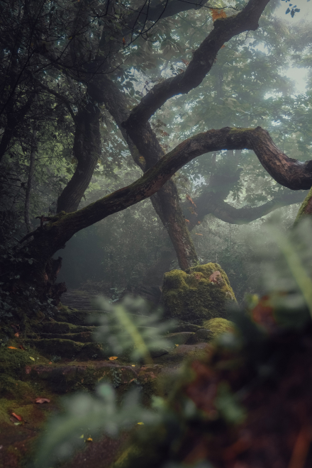 Get Lost
