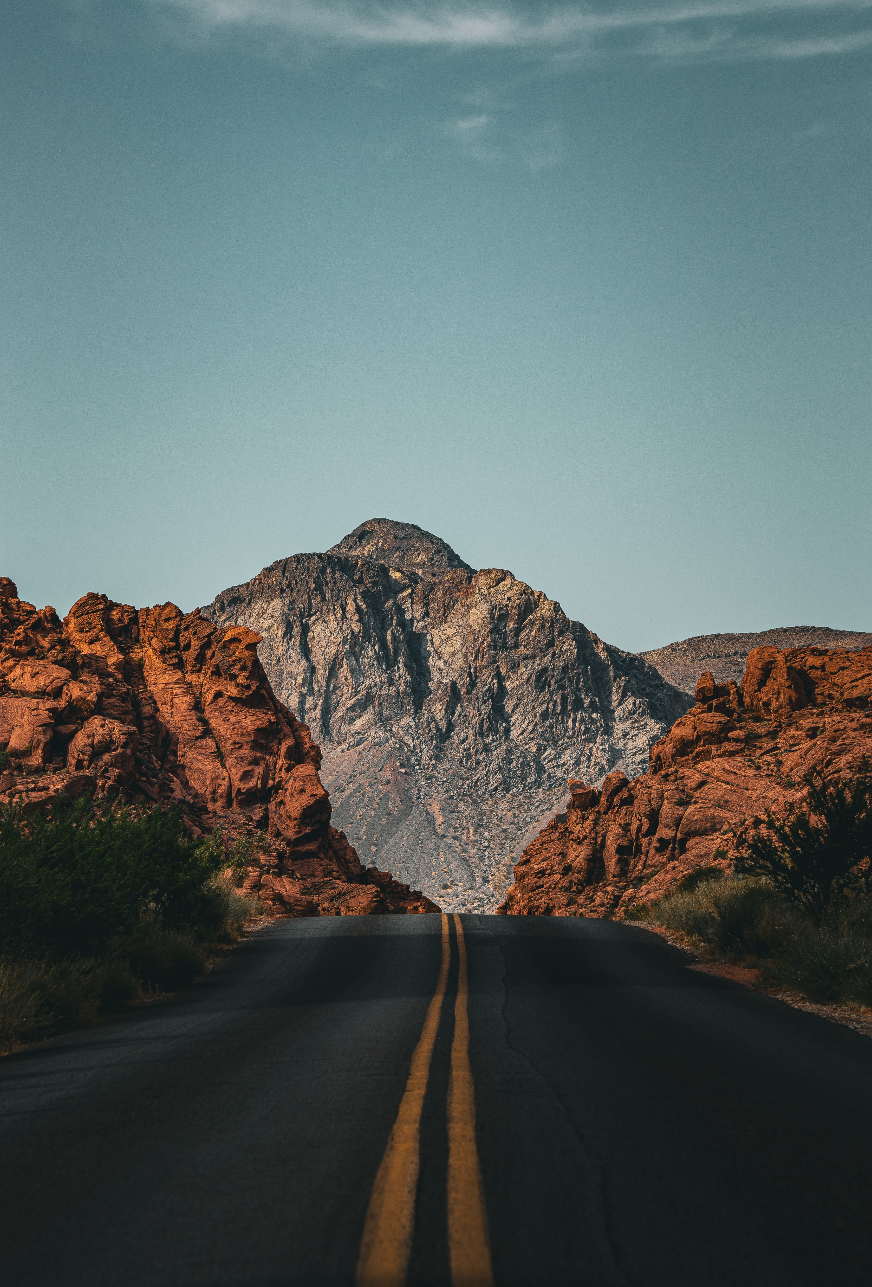 Road trips
