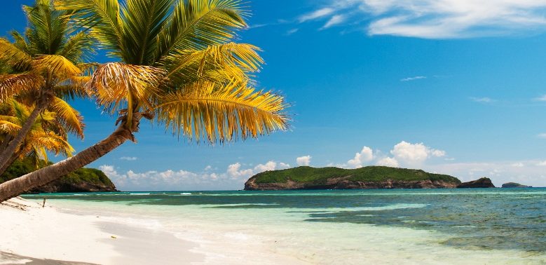 Klimaændringer: Din drømmeliste i fare?