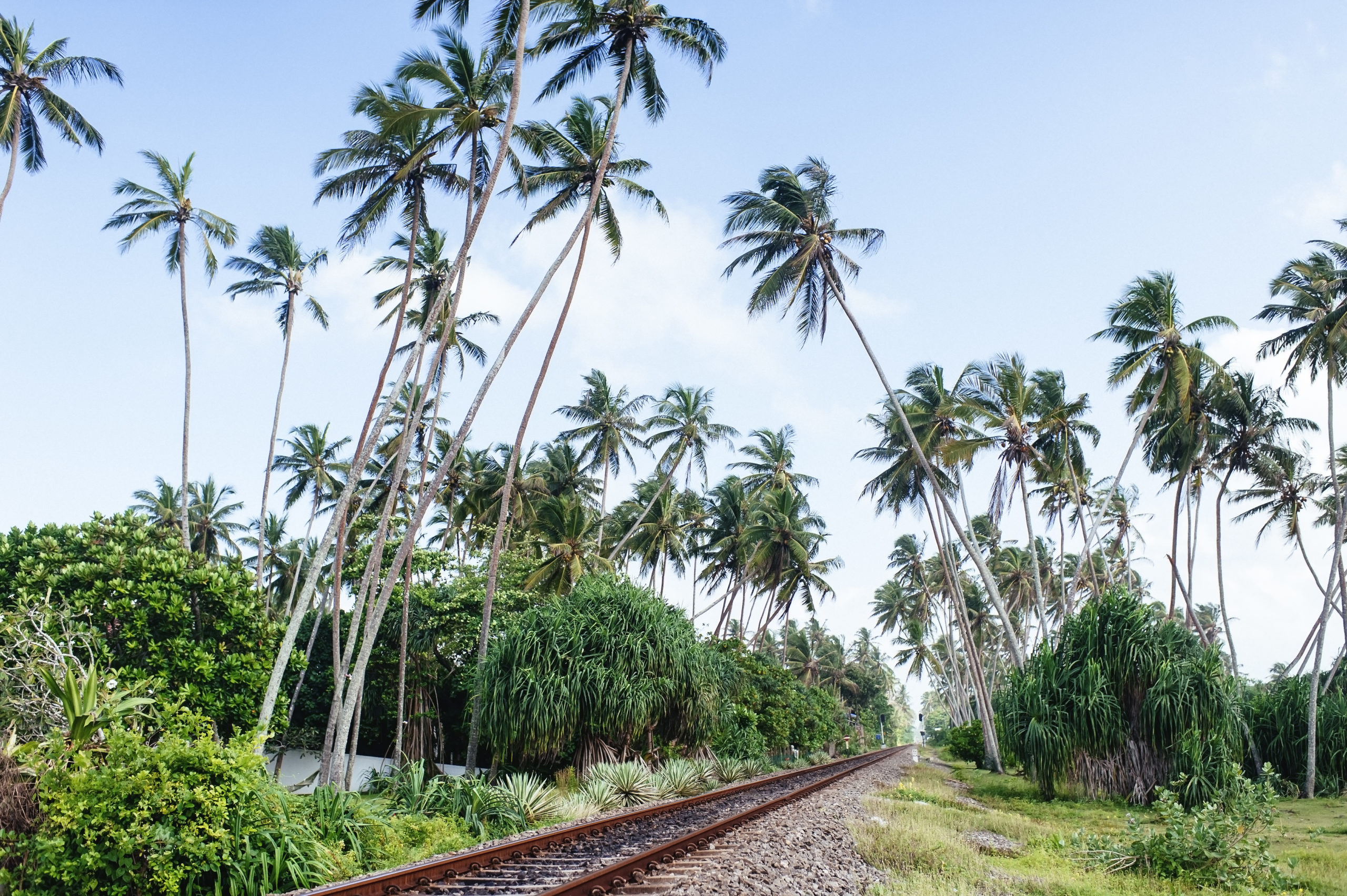 Otte dage i Egypten med James og Harry