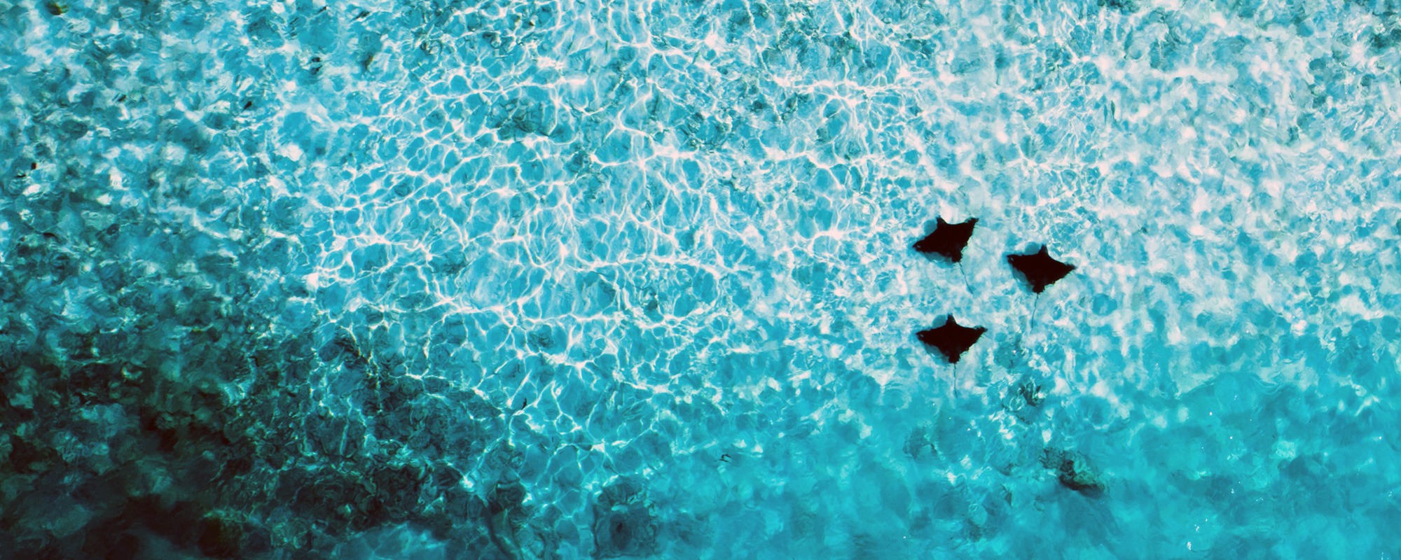 Interview – Natalie Urquhart