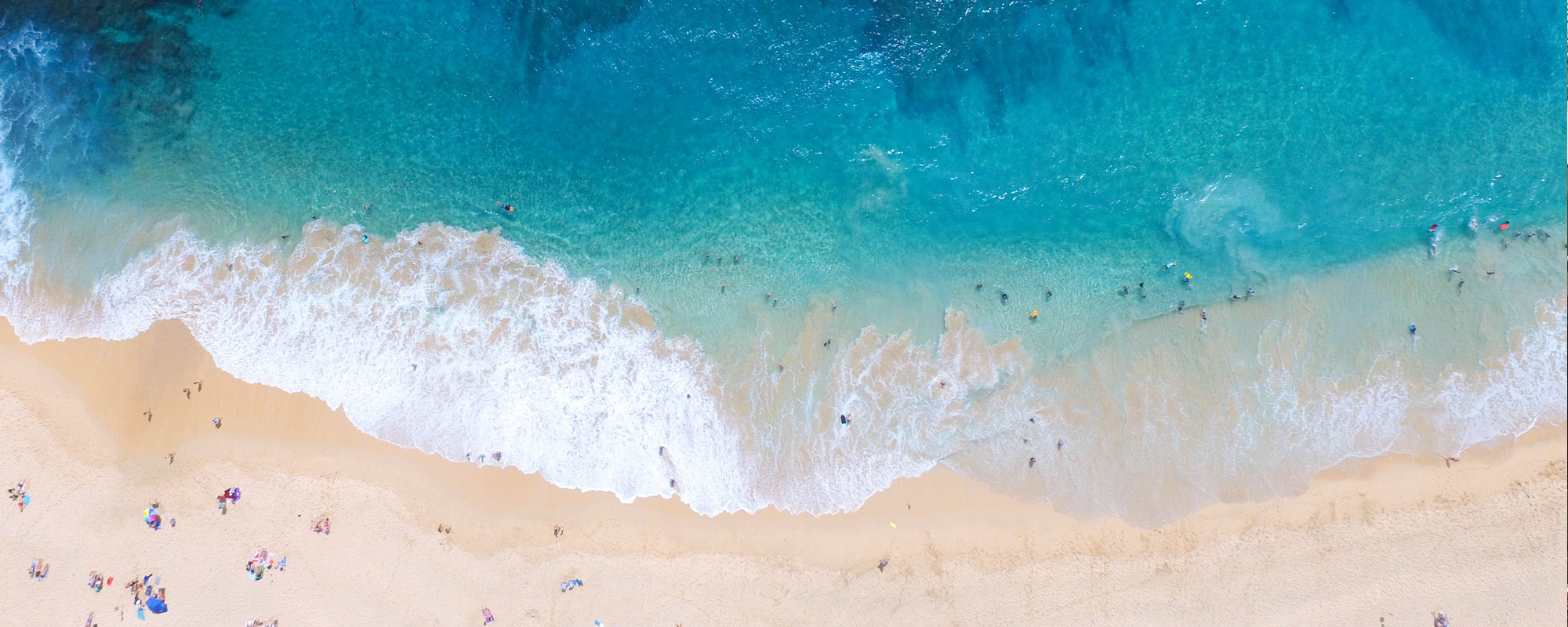 Fra Masai Mara til Aravalli-bjergene: Den ultimative guide til familie-safari