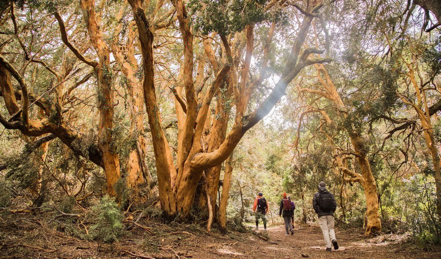 Luxury Family Holiday in Argentina