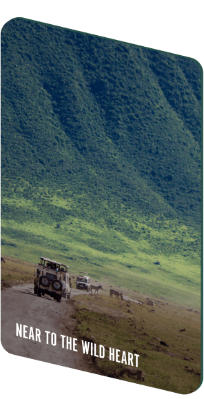 Tanzania card