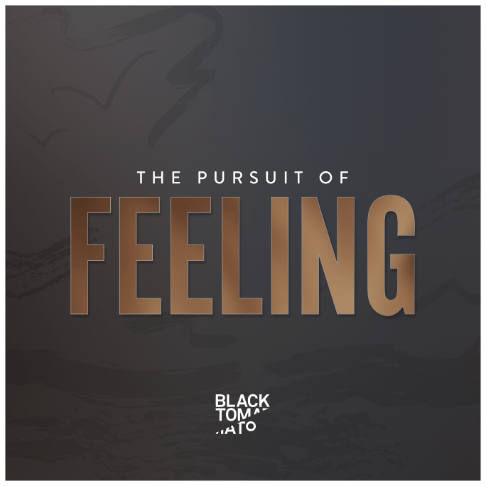 The Pursuit of Feeling album cover