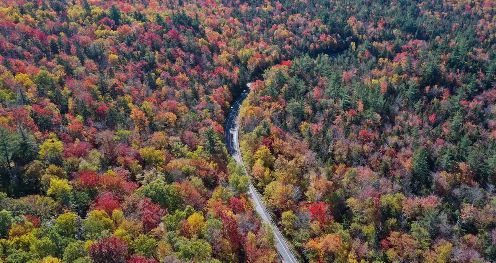 New England