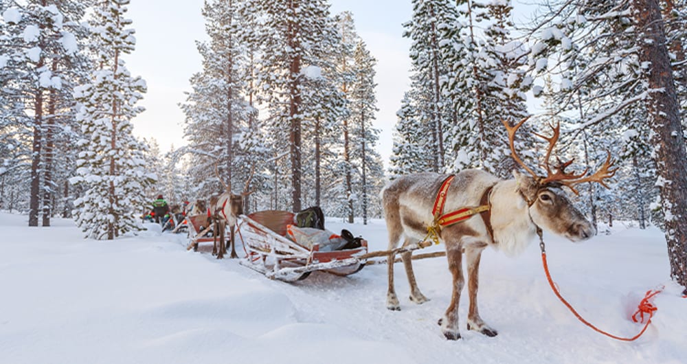 Where to go on holiday in February: Finland