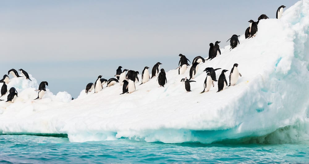 2021 Antarctica Solar Eclipse