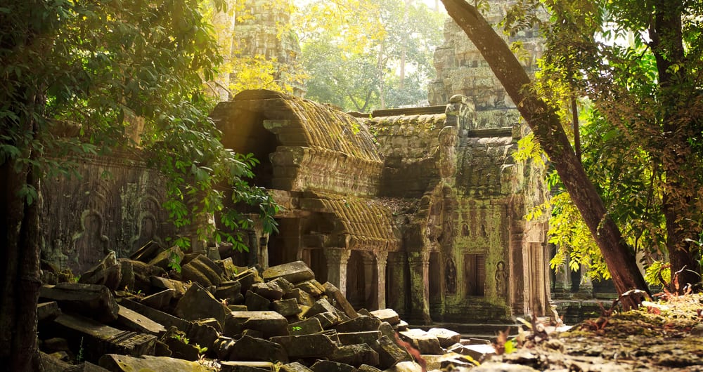 Ta Phrom temple ruins at Angkor in Siem Reap in cambodia