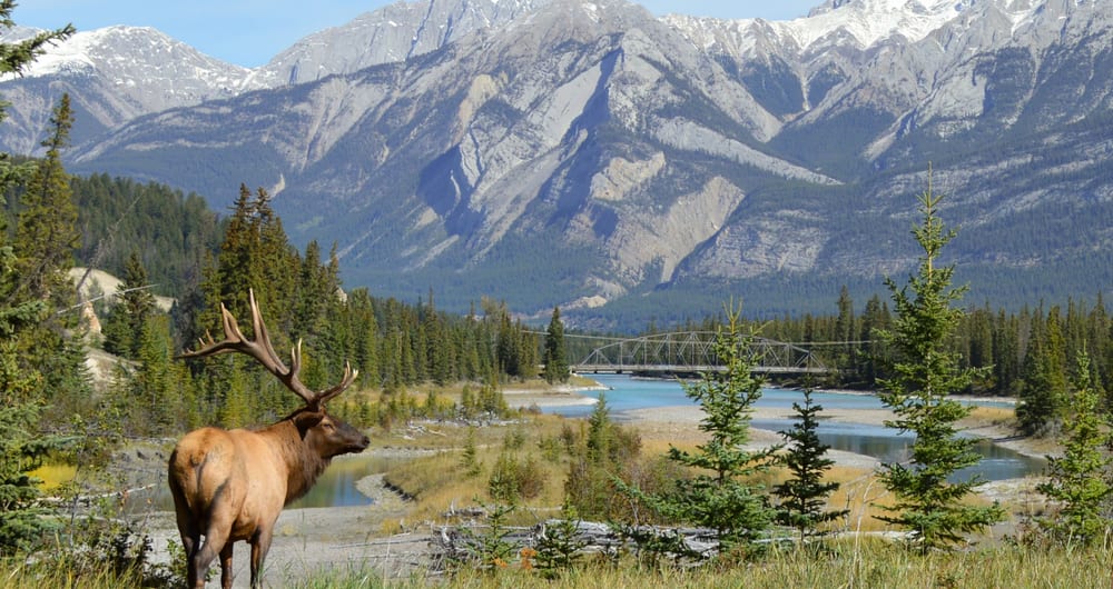 Luxury travel in Canada