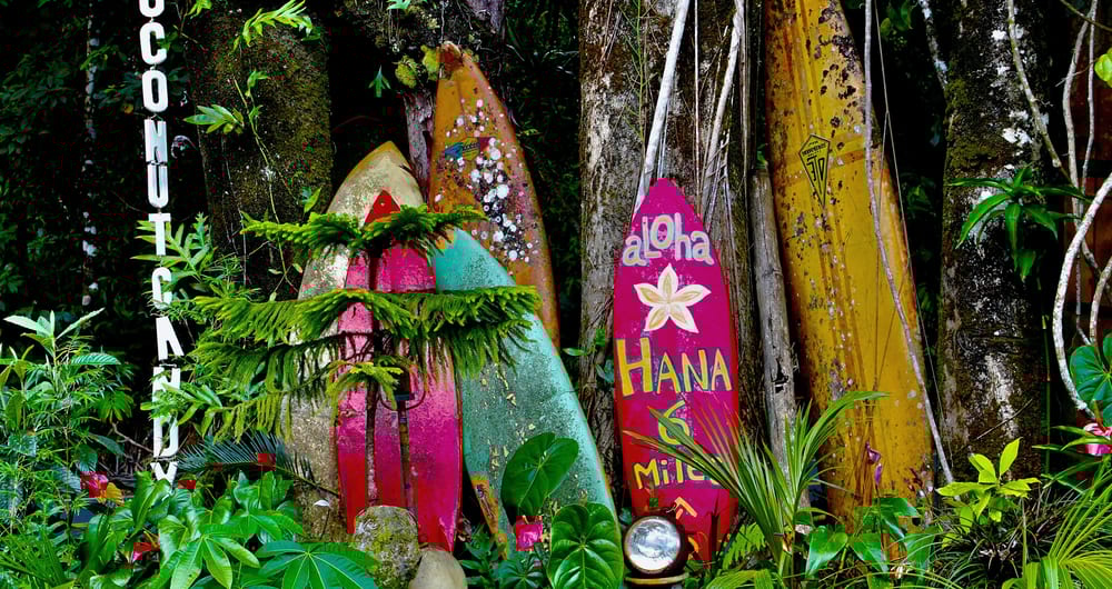 Surfing in Hawaii