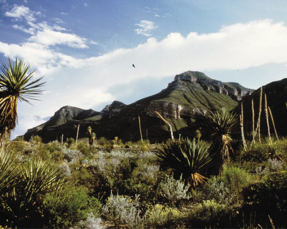 Luxury Holidays in Texas, USA