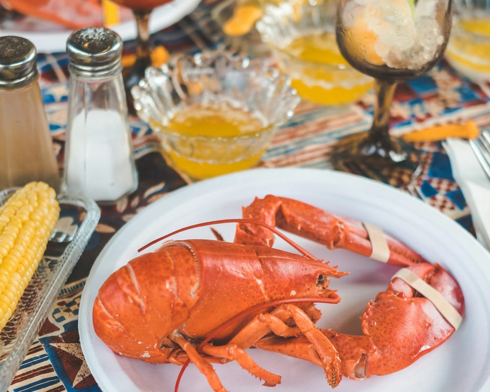 USA New England seafood - Daniel norris