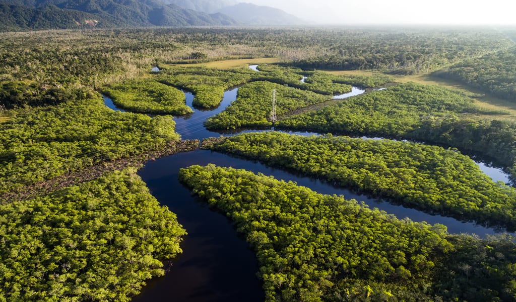 Amazon River Brazil