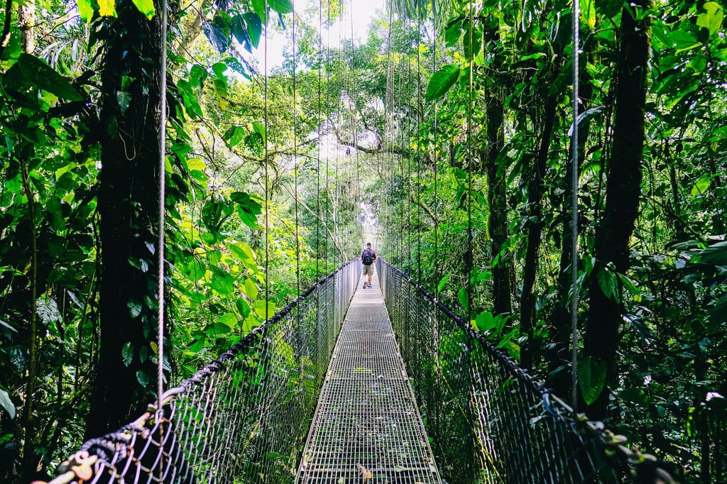 Hanging bridges, Costa Rica