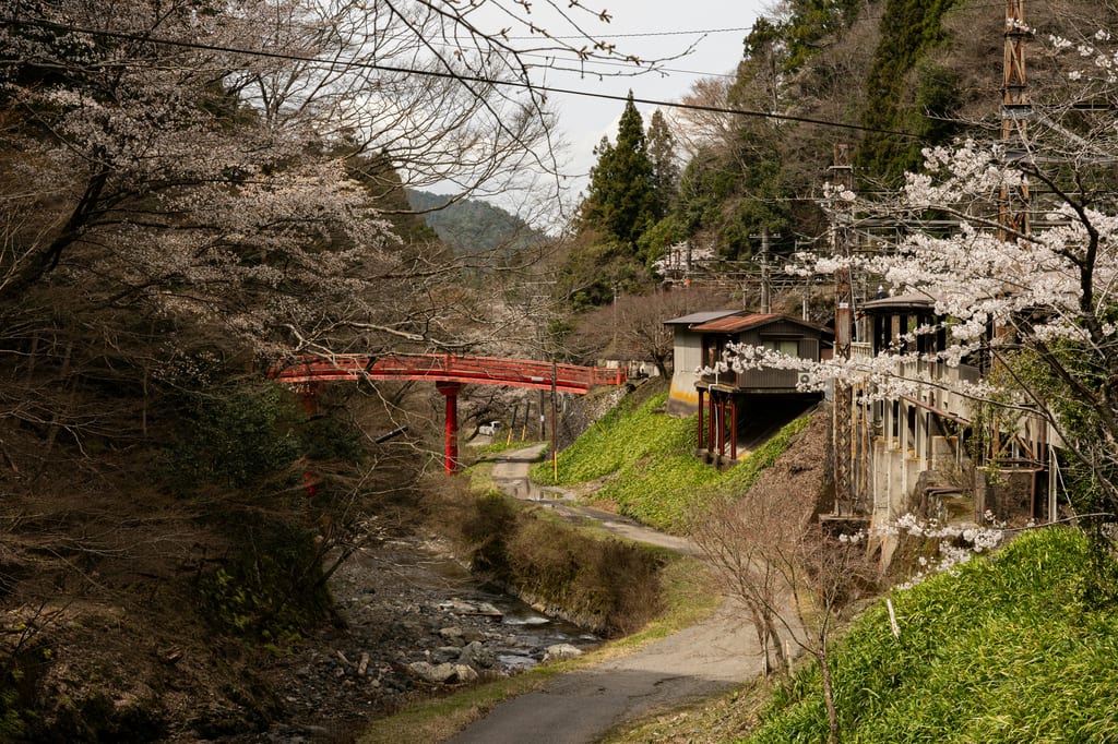 Kumano Kodō Japan