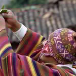 Shaman leaves ritual