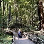 Melissa in the forest, USA