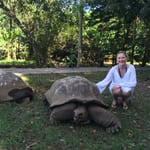 Milla Tortoises