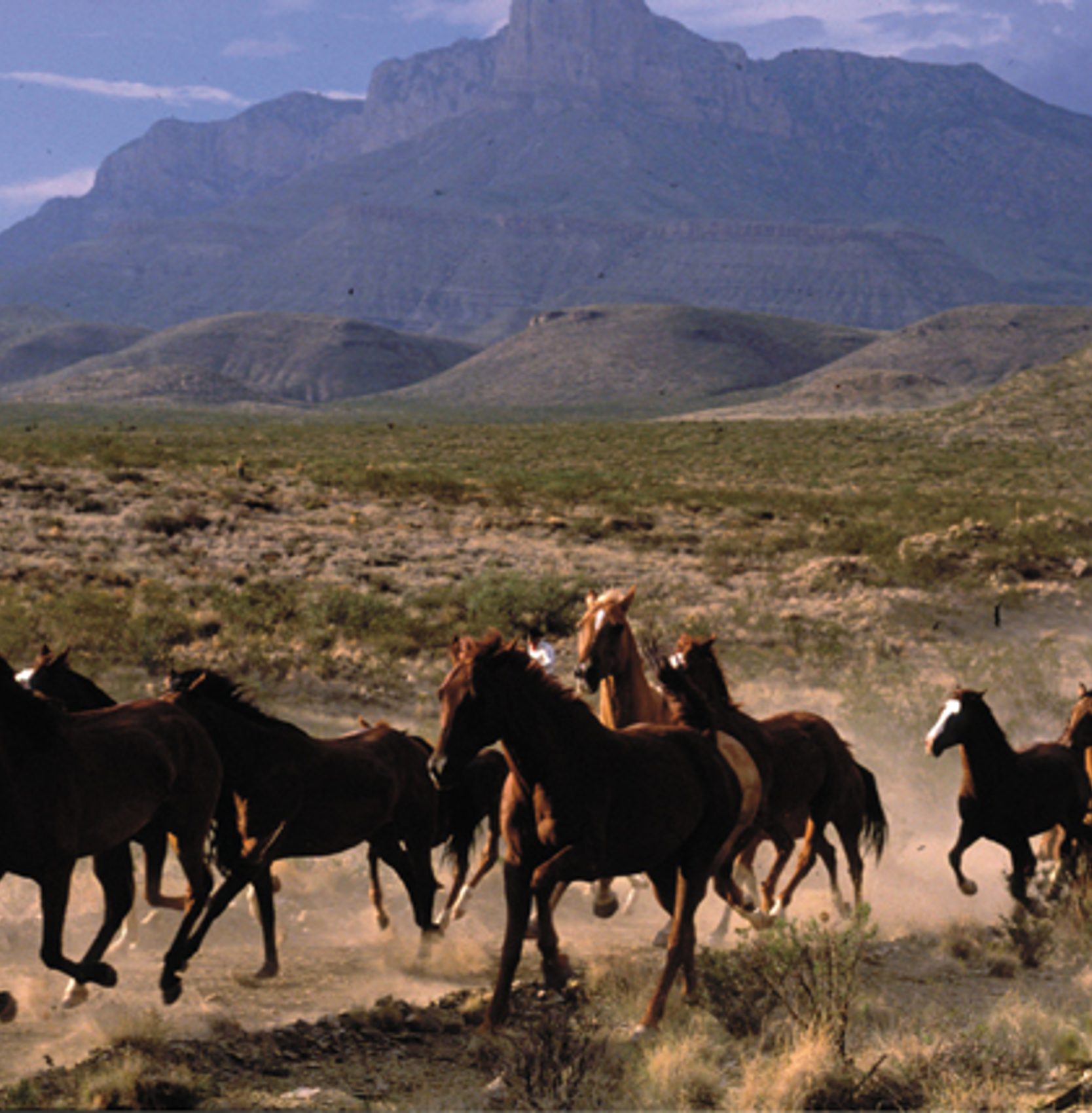 Luxury Holiday in Texas, USA