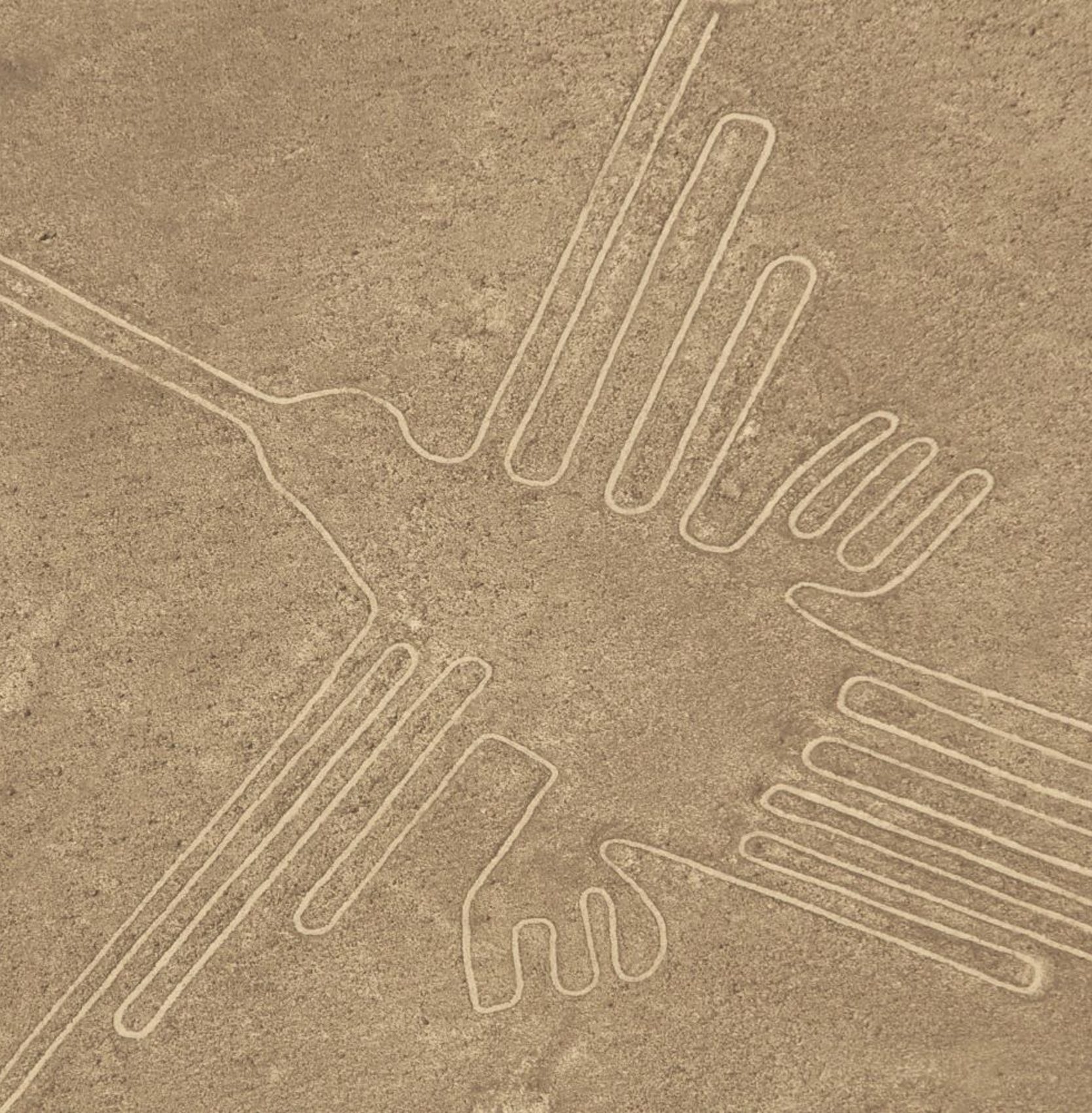 The hummingbird geoglyph