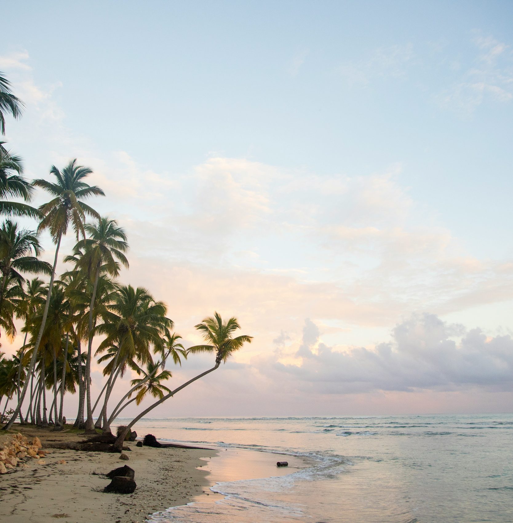 Palm beach in Dominican Republic