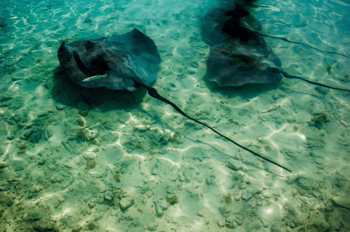 Luxury holidays to French Polynesia