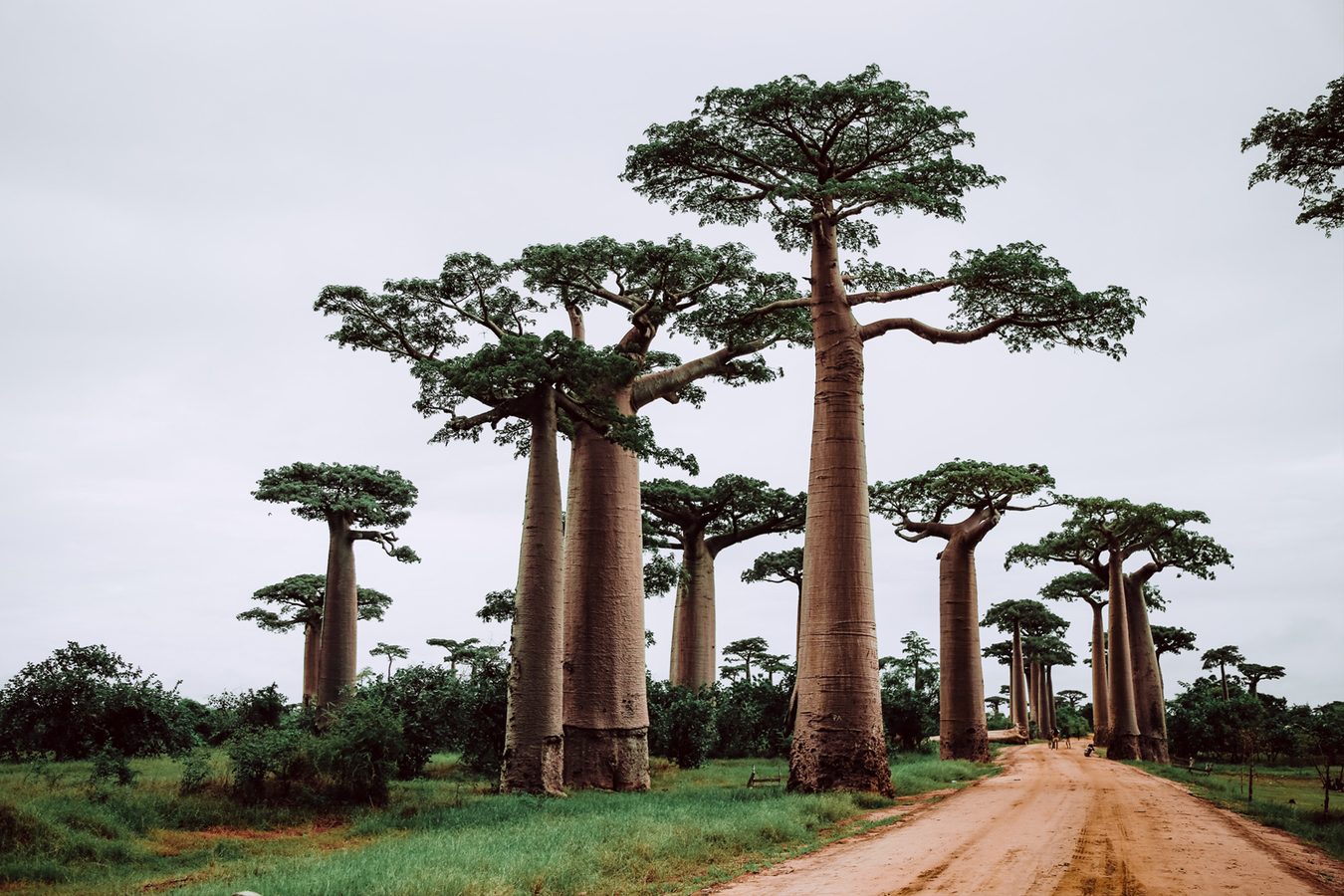Luxury Holidays in Madagascar
