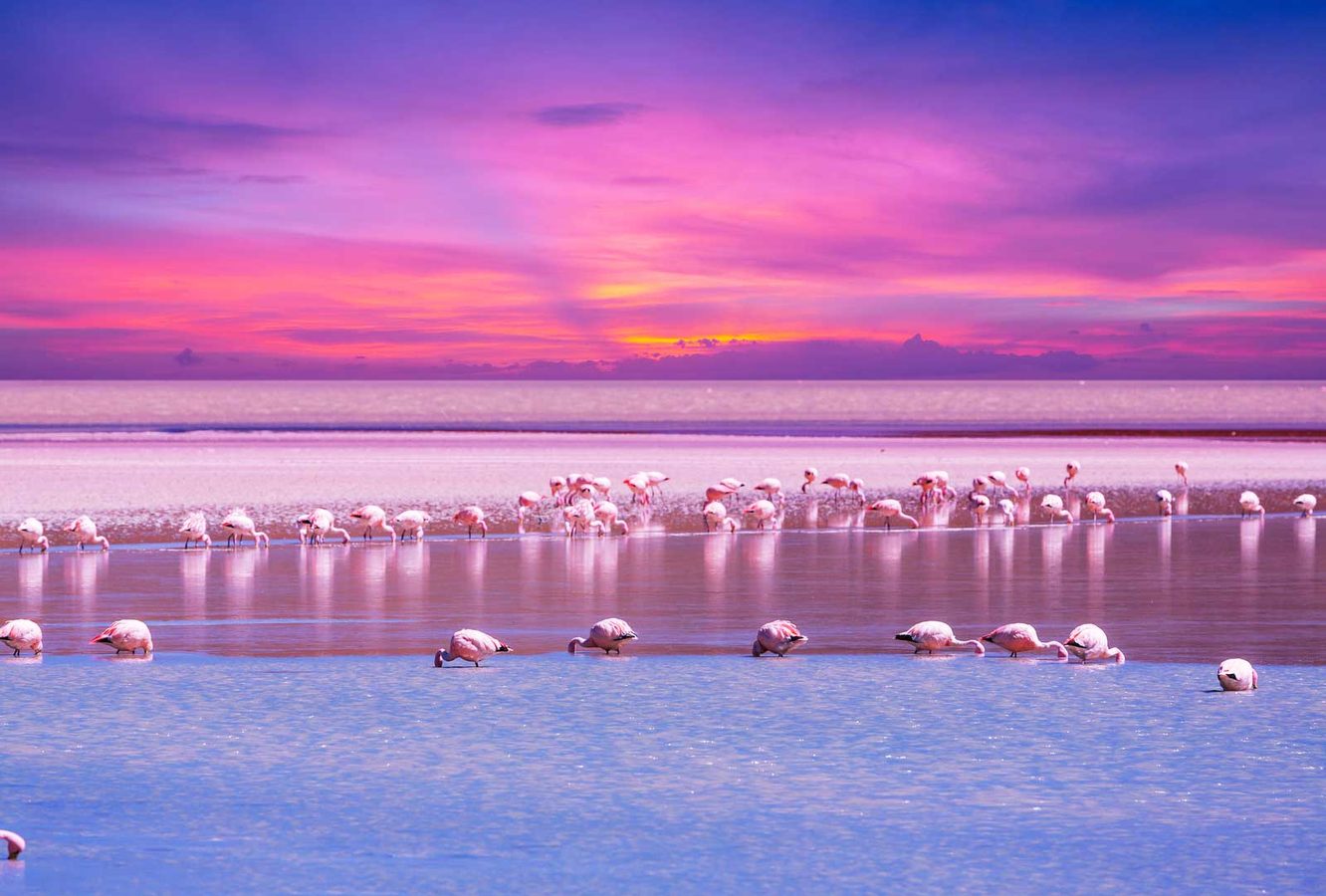 More about Bolivia