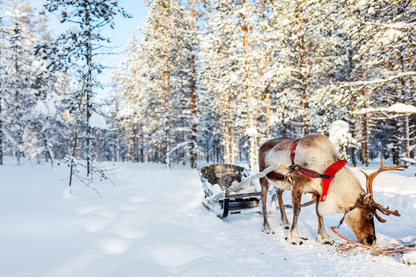 More about Finland