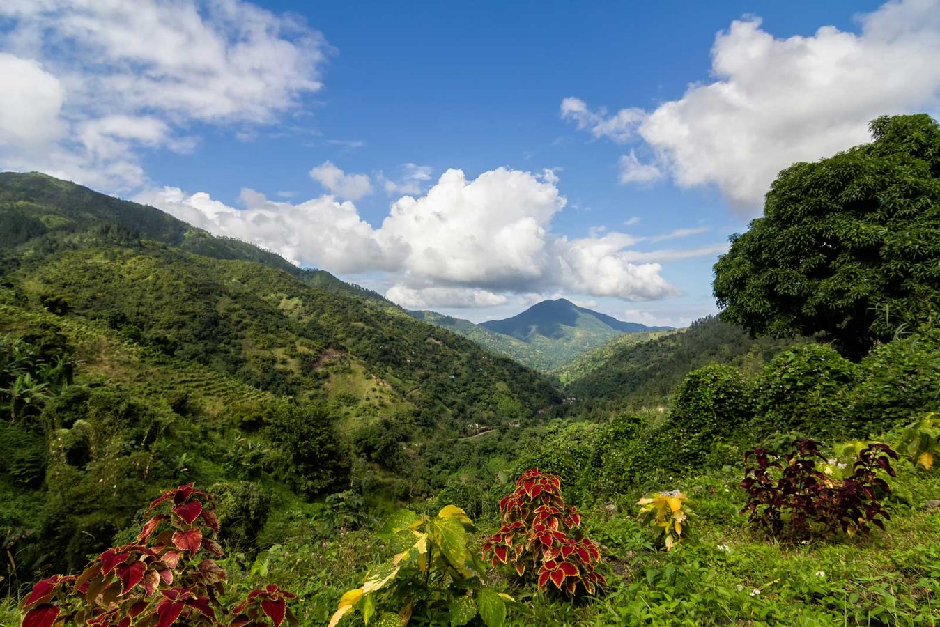 Where to go in Jamaica
