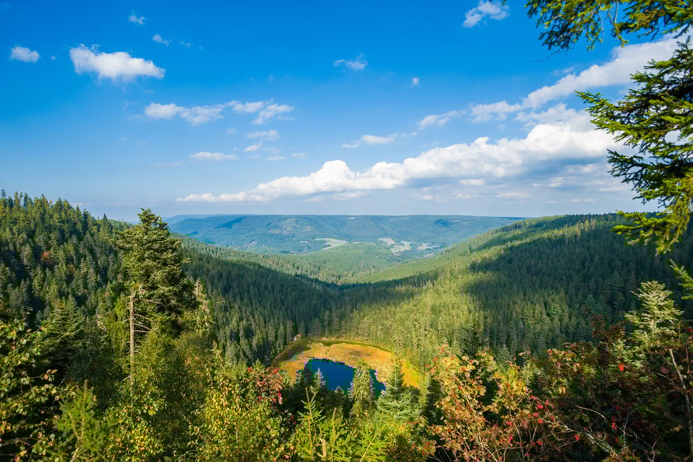 Luxury Holiday in the Black Forest