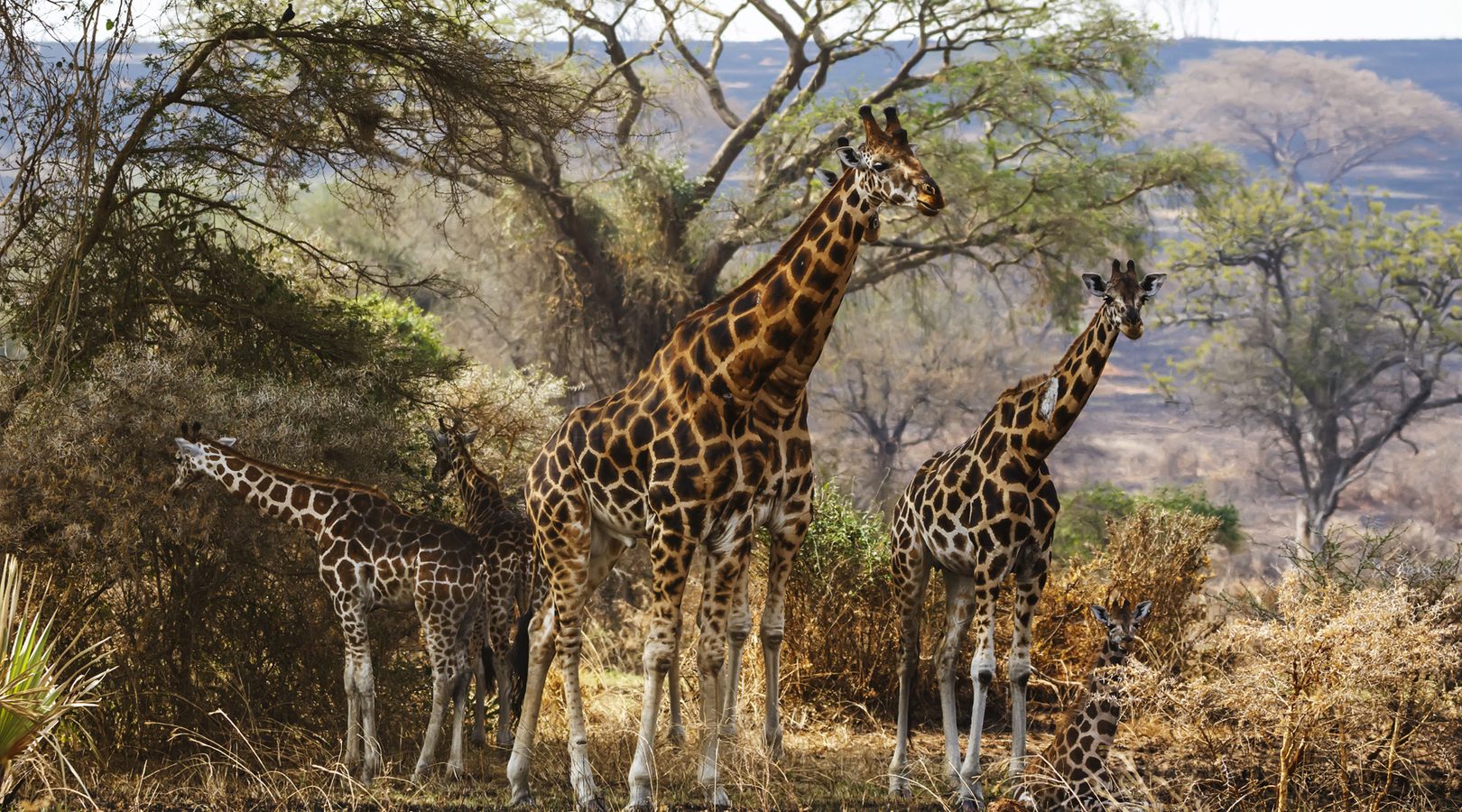 Private tours in Uganda