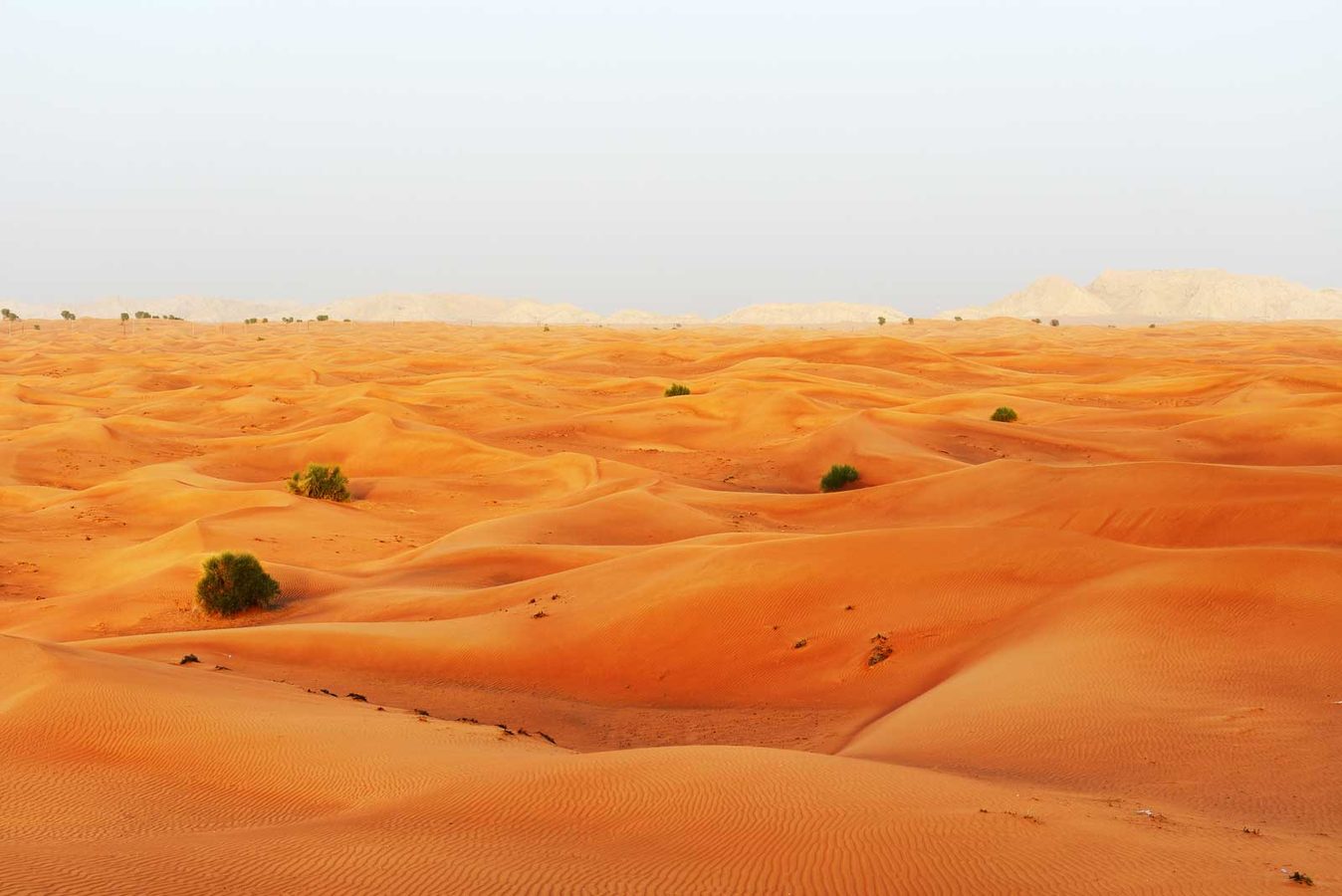 Private desert tours in UAE