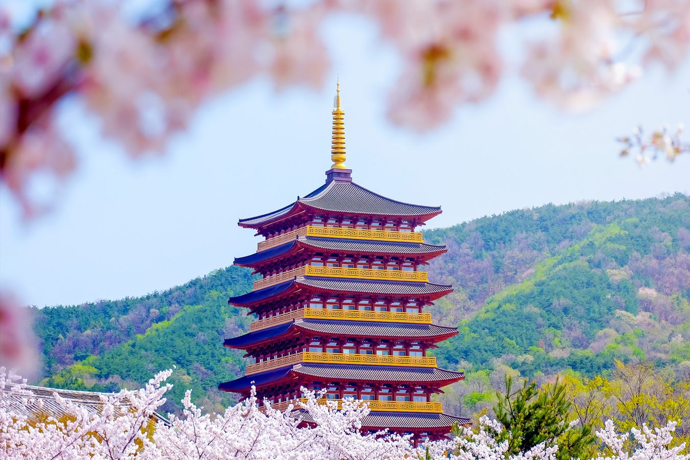 Luxury Hotels in South Korea