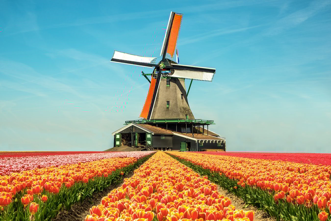 Luxury honeymoons in the Netherlands
