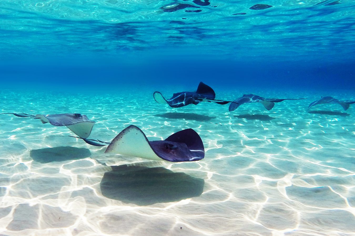 Honeymoons in the Cayman Islands