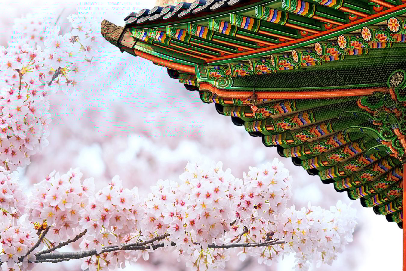 Luxury Hotels in South Korea