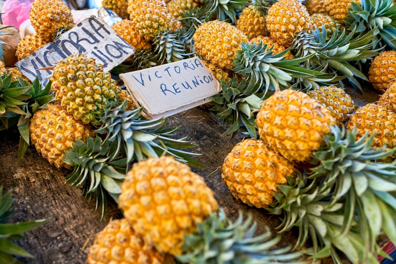 Best luxury hotels on Reunion Island