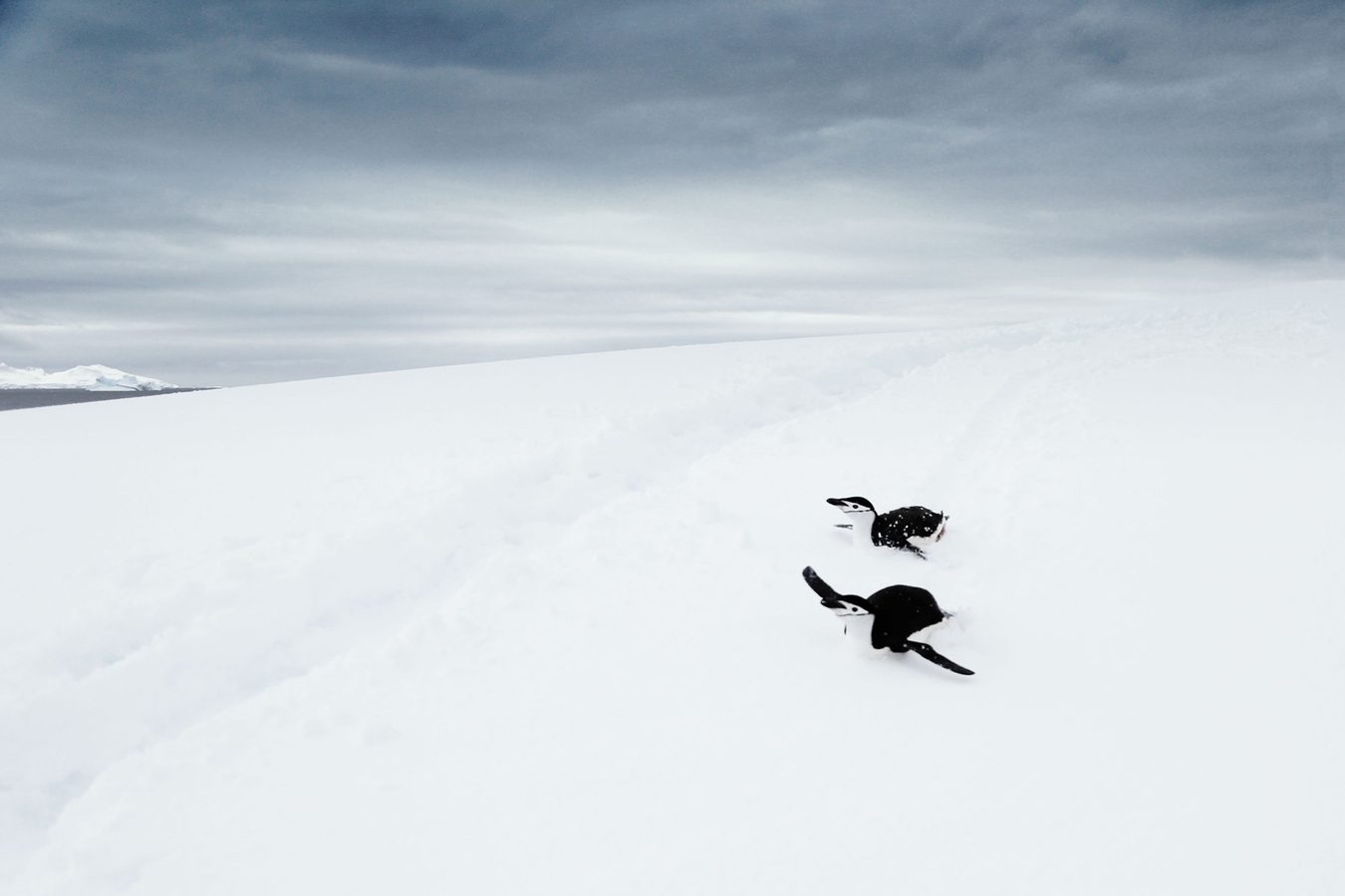 Luxury Holidays in Antarctica