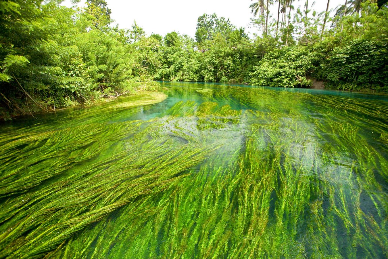 Honeymoons in Papua New Guinea