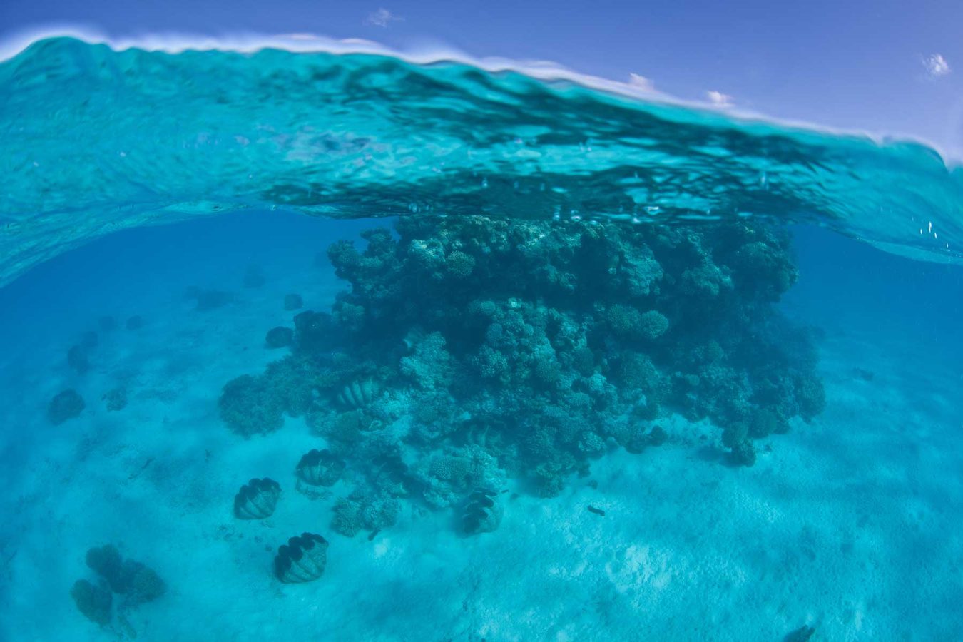Honeymoons on the Cook Islands