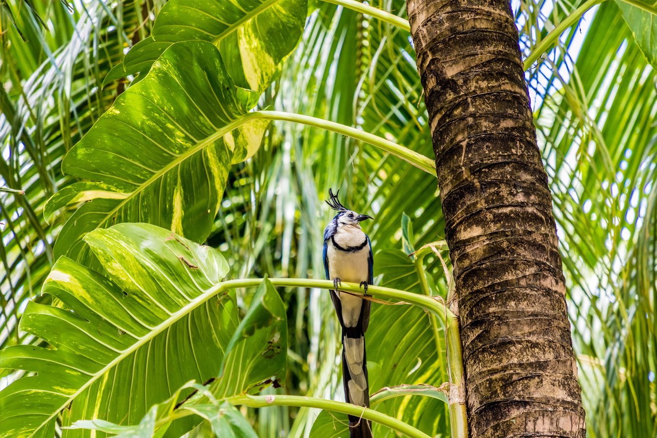 Luxury Hotels in Nicaragua