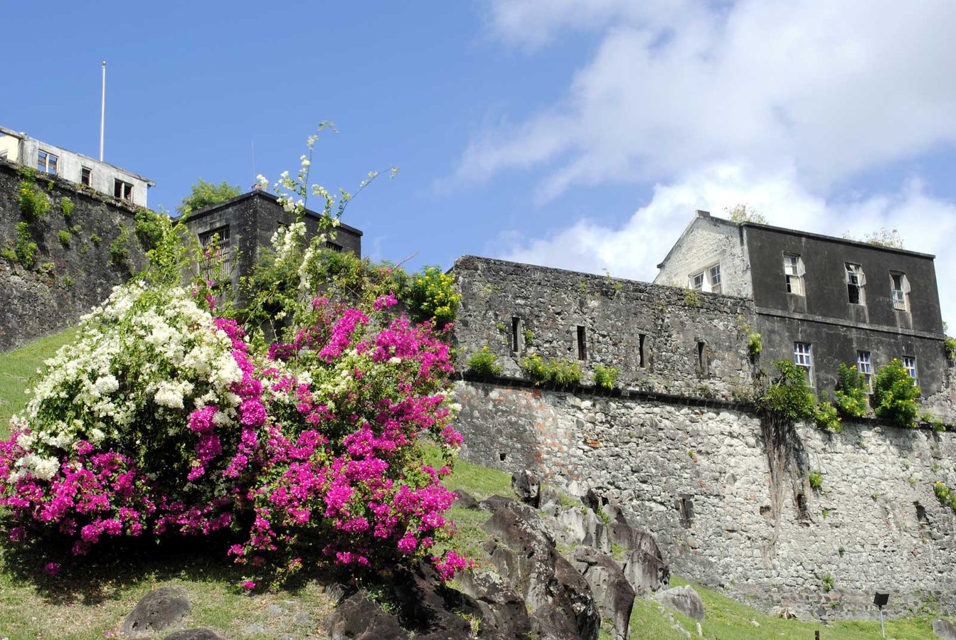 Private tours in Grenada