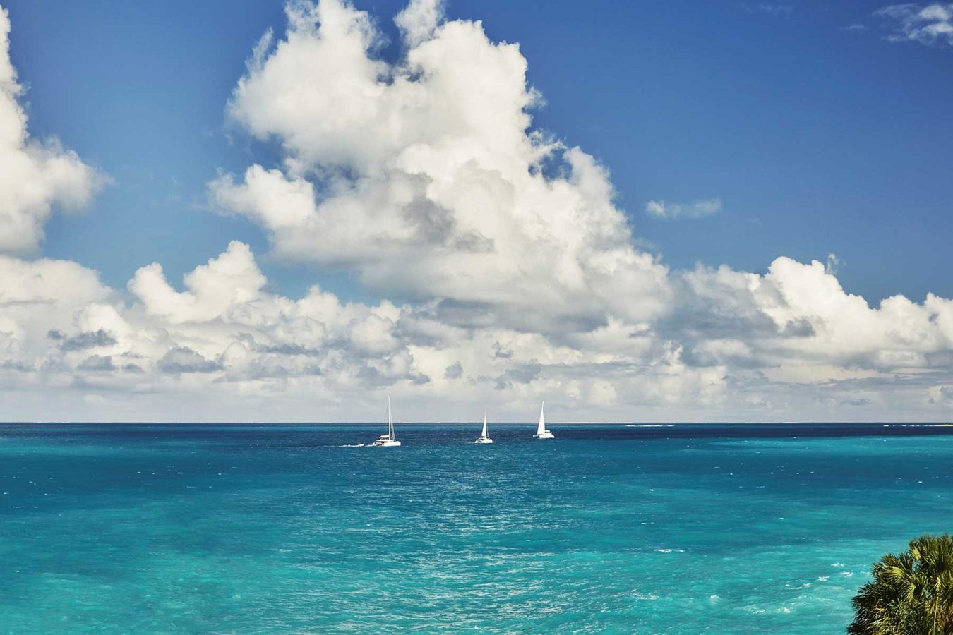 Explore Anguilla