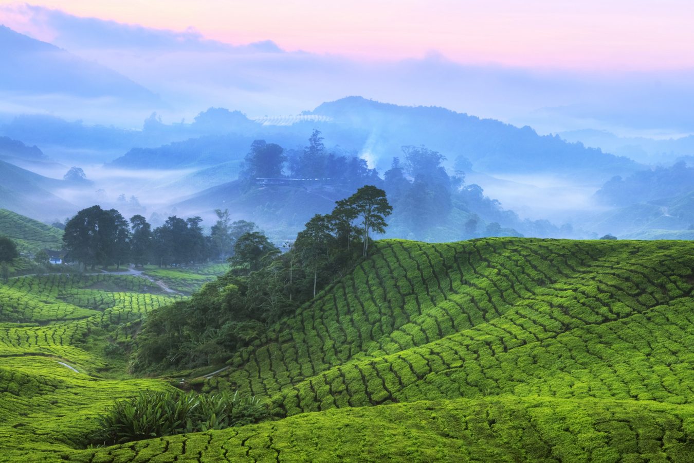 Private Tours in Malaysia