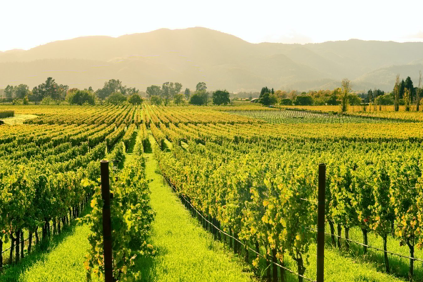 Napa Valley, USA