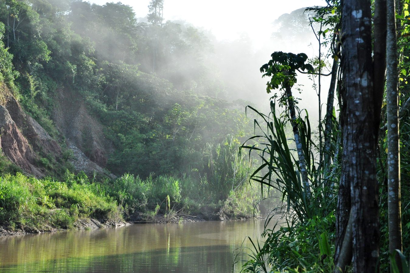 Amazon in Peru